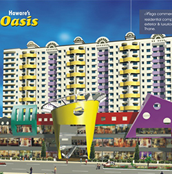 Oasis